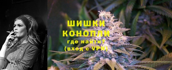 стаф Балахна