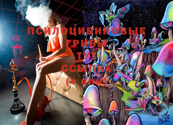 ГАЛЛЮЦИНОГЕННЫЕ ГРИБЫ Аркадак