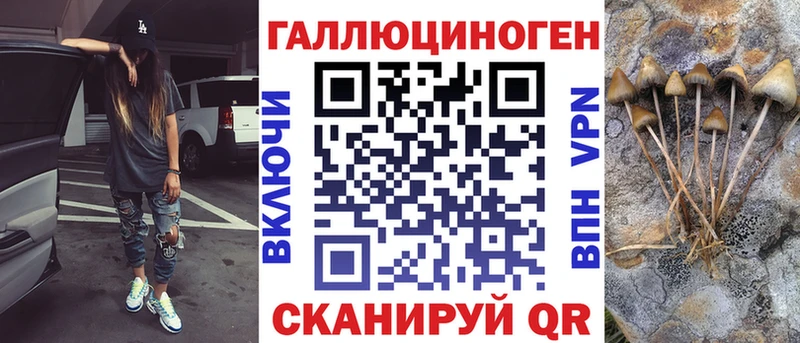 Галлюциногенные грибы Psilocybine cubensis Афипский